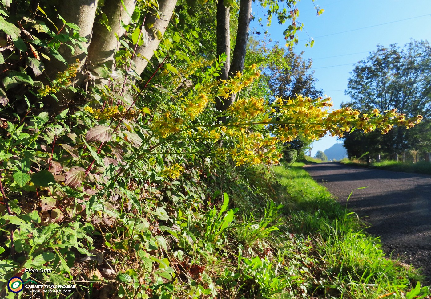 04 Salgo stradetta asfaltata.JPG